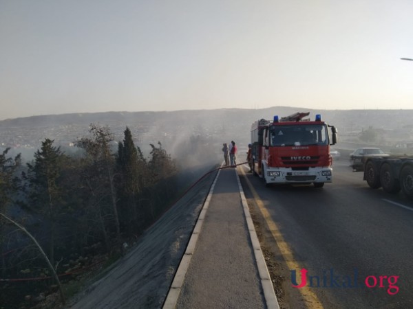 Bakıda ağaclıq ərazidə yanğın söndürüldü - YENİLƏNİB (FOTOLAR)